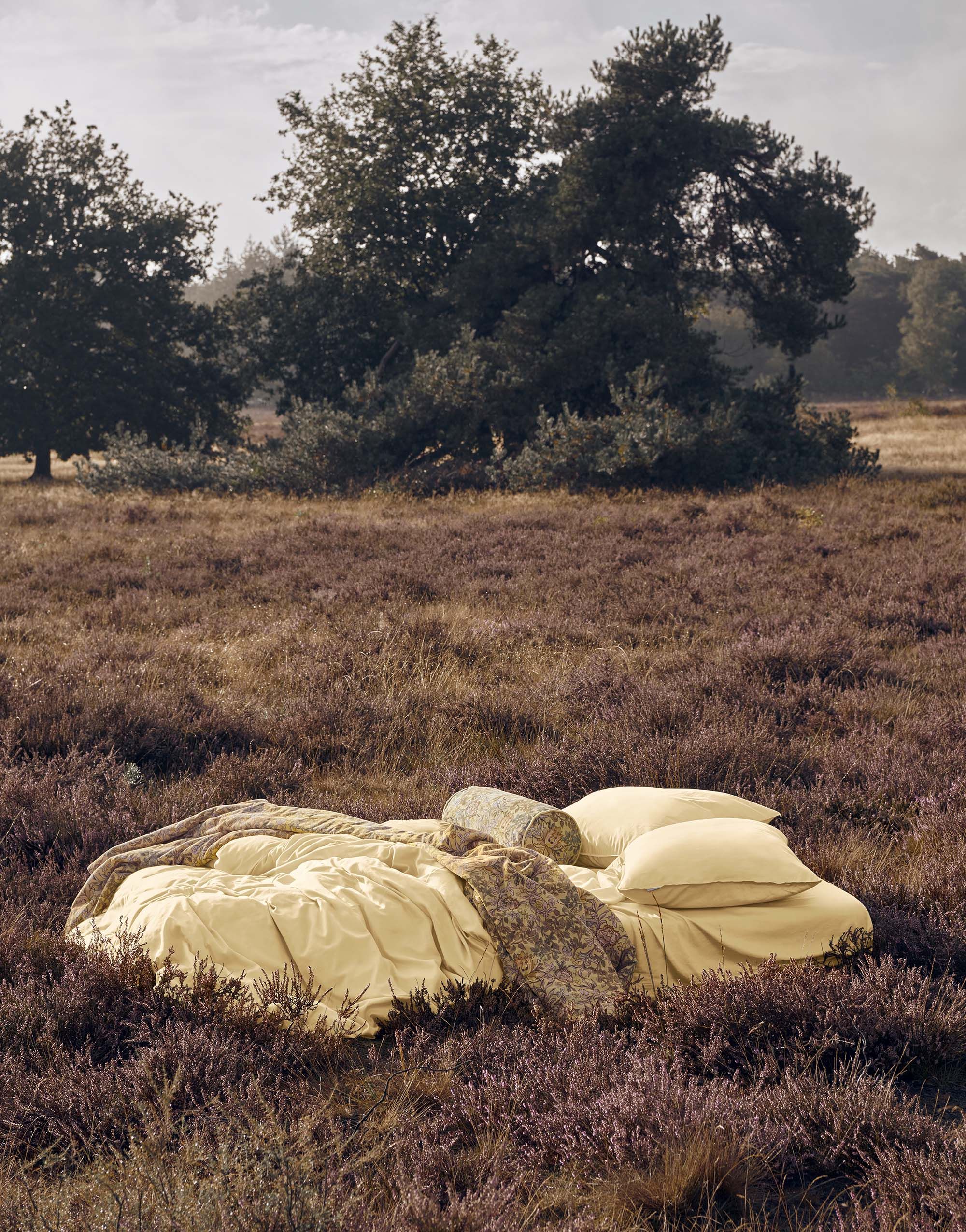 Minte 240x200/220 yellow straw -Essenzahome